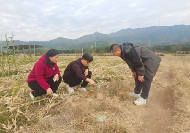 科技特派員 播撒綠色科技種，助力農(nóng)業(yè)高質(zhì)量發(fā)展